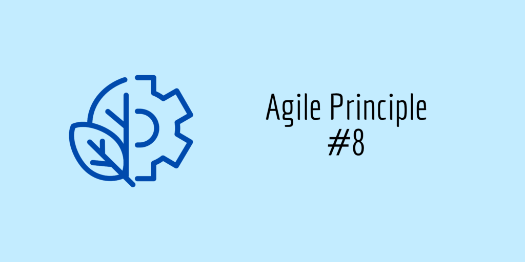 agile principle 8